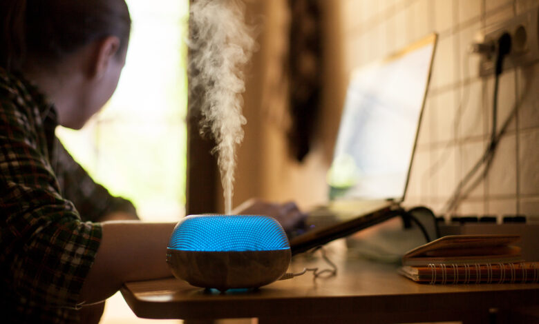 A Practical Consumer Comparison for Steam Humidifiers